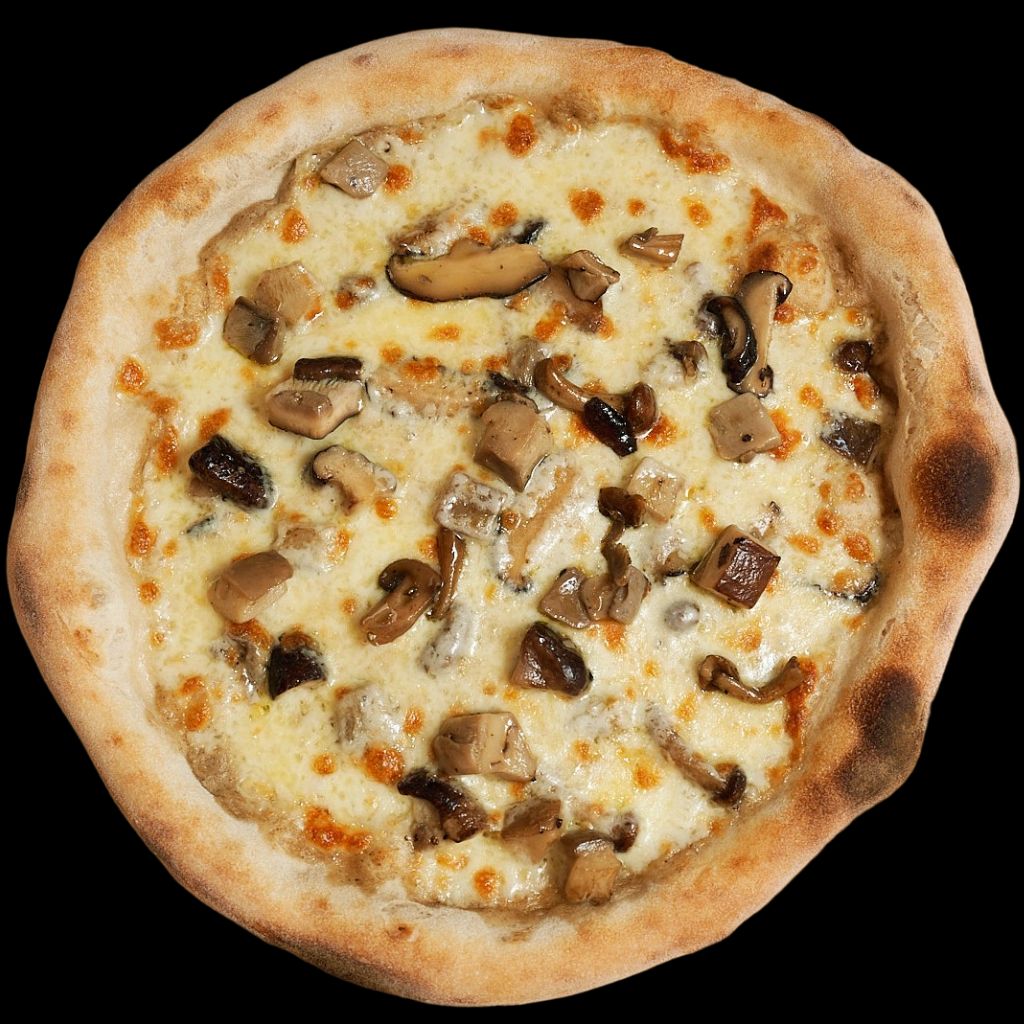 pizza del bosque nazca pizzeria